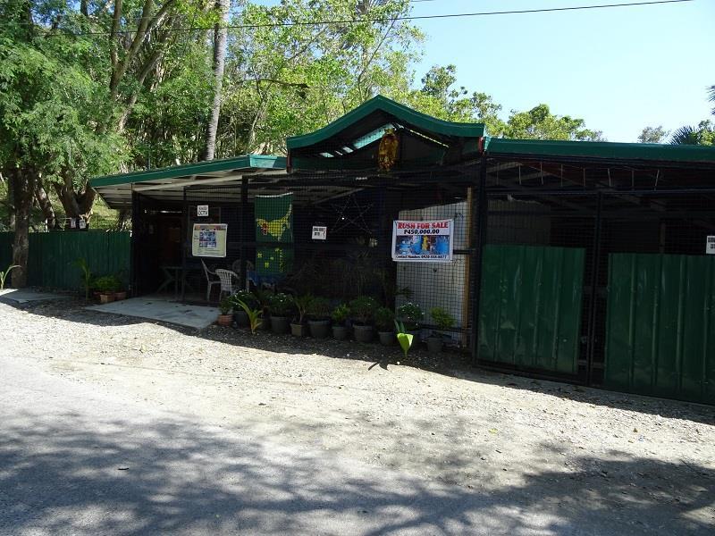 Happy Buddha Inn Puerto Galera Exteriör bild